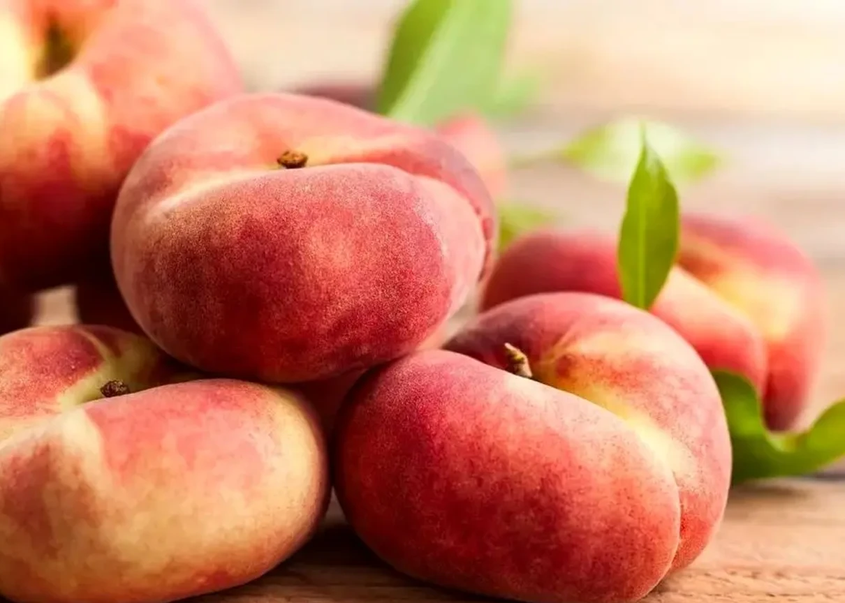 سردخانه هلو انجیری صنایع هوشمند
