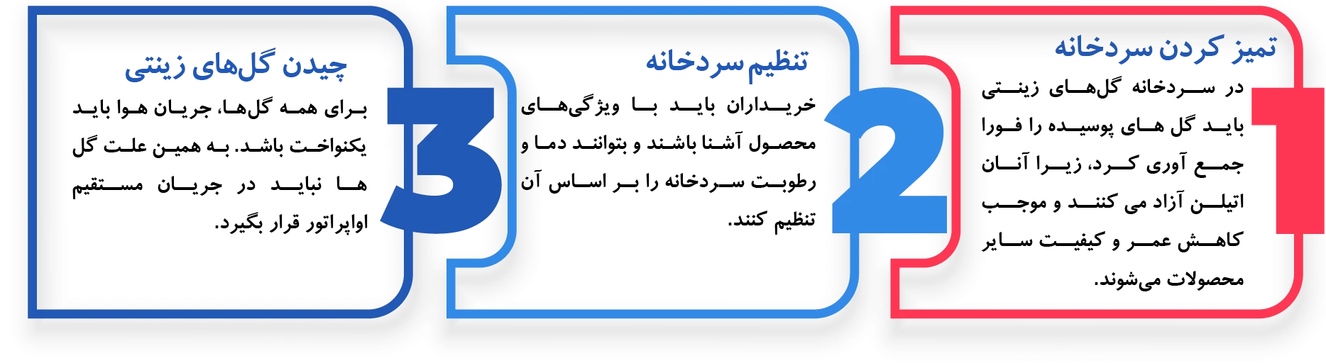 نکات مهم در نگهداری گل‌های زینتی